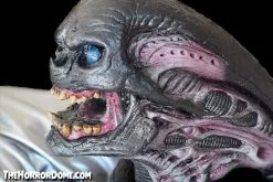 The Horror Dome "Alien Xenomorph Puppet" HD Studios Halloween Prop -Cheap Horror Attire Store alien xenomorph puppet hd studios halloween prop 14920397029424