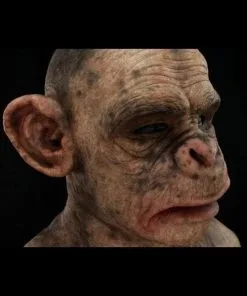 CFX "Ape Man" Mask -Cheap Horror Attire Store ape man silicone halloween mask 20360234561
