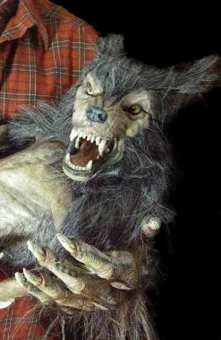 The Horror Dome "Baby Werewolf Puppet" HD Studios Halloween Prop -Cheap Horror Attire Store baby werewolf puppet hd studios halloween prop 14159829270576