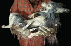 The Horror Dome "Baby Werewolf Puppet" HD Studios Halloween Prop -Cheap Horror Attire Store baby werewolf puppet hd studios halloween prop 8671037569