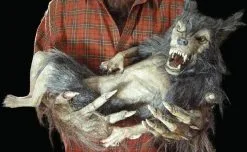 The Horror Dome "Baby Werewolf Puppet" HD Studios Halloween Prop -Cheap Horror Attire Store baby werewolf puppet hd studios halloween prop 8671039169