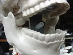 DC PROPS "Barrel Spitter Skeleton" Halloween Animatronic 9 DC PROPS "Barrel Spitter Skeleton" Halloween Animatronic -Cheap Horror Attire Store barrel spitter skeleton halloween animatronic 8671147137