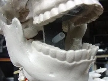 DC PROPS "Barrel Spitter Skeleton" Halloween Animatronic 6 DC PROPS "Barrel Spitter Skeleton" Halloween Animatronic - Image 4