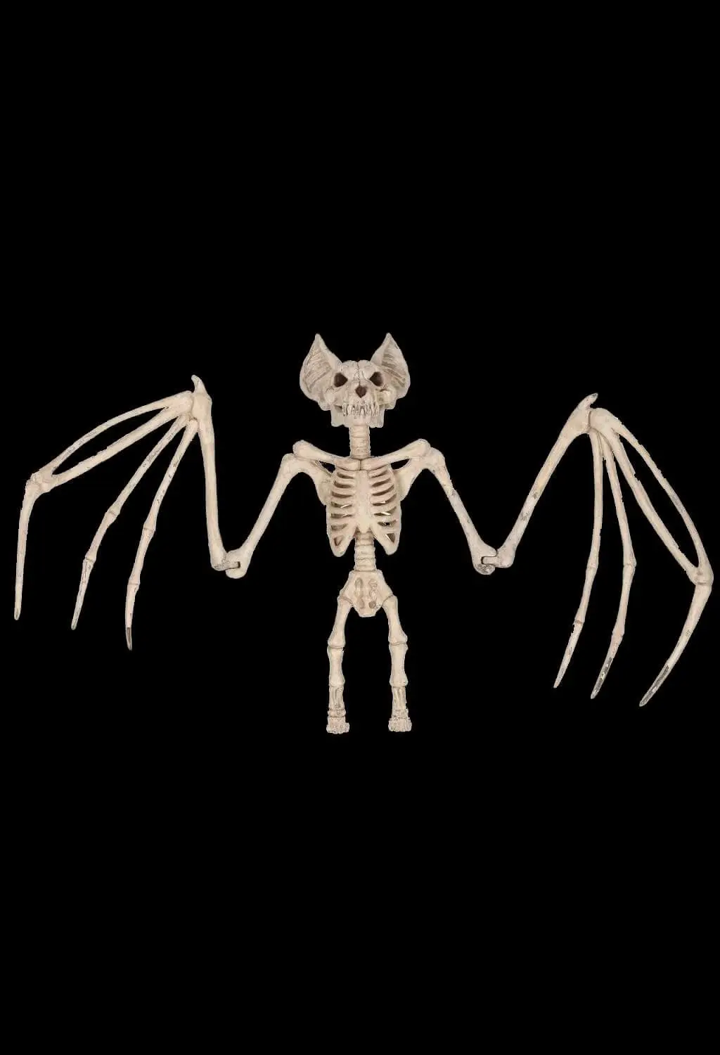 Morris "Bat Skeleton" Halloween Prop - 36 Inch 3 Morris "Bat Skeleton" Halloween Prop - 36 Inch