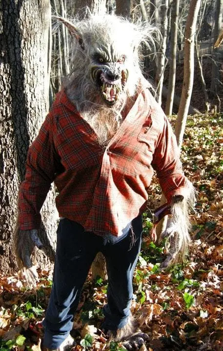 The Horror Dome "Big Bad Wolf" HD Studios Pro Costume 4 The Horror Dome "Big Bad Wolf" HD Studios Pro Costume - Image 2