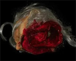 The Horror Dome "Big Mouth Severed Head" HD Studios Bloody Halloween Prop -Cheap Horror Attire Store big mouth severed head hd studios bloody halloween prop 8671217409