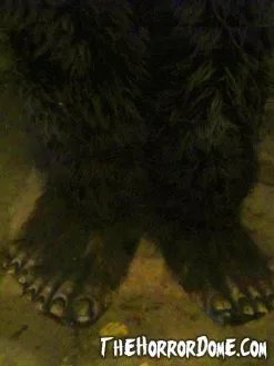 The Horror Dome "Bigfoot" HD Studios Pro Costume -Cheap Horror Attire Store bigfoot hd studios pro halloween costume 8671231425