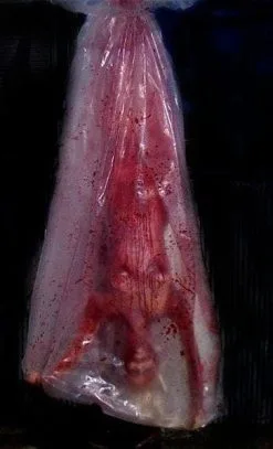 The Horror Dome "Bloody Babe Body Bag Shaker" Halloween Animatronic