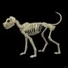 Morris Buster Bonez Dog Skeleton Halloween Prop 2 Morris Buster Bonez Dog Skeleton Halloween Prop -Cheap Horror Attire Store buster bonez dog skeleton halloween prop 30408506277936