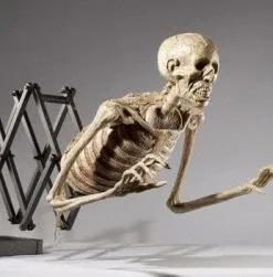 DC PROPS "Corpse Extender" Skeleton Halloween Animatronic