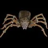 Morris "Deluxe Light-Up Wolf Spider" Halloween Prop -Cheap Horror Attire Store deluxe light up wolf spider halloween prop 30397832593456