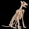Morris Doberman Skeleton Dog Skeleton Halloween Prop 1 Morris Doberman Skeleton Dog Skeleton Halloween Prop -Cheap Horror Attire Store doberman skeleton dog skeleton halloween prop 30408654946352
