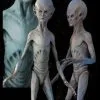 Midnight Studios "EBE Extraterrestrial Biological Entity" Professional Alien Prop