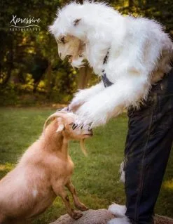 The Horror Dome "Evil Goat Man" HD Studios Pro Costume 15 The Horror Dome "Evil Goat Man" HD Studios Pro Costume -Cheap Horror Attire Store evil goat man hd studios pro halloween costume 15583609258032