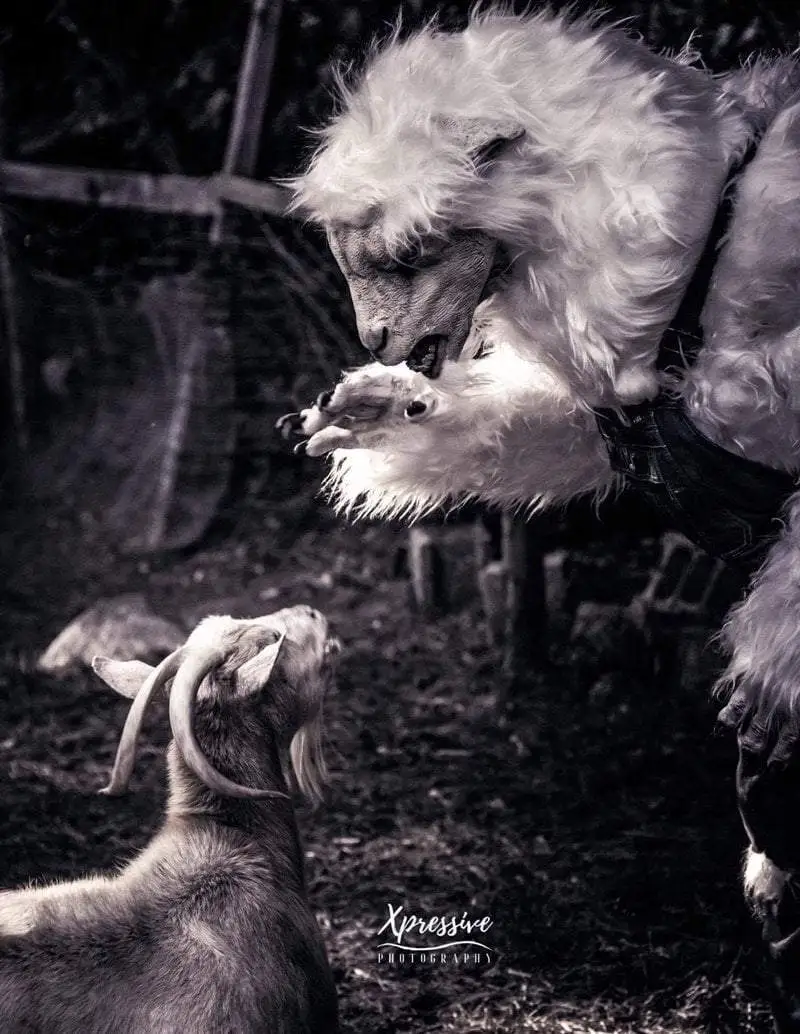 The Horror Dome "Evil Goat Man" HD Studios Pro Costume 10 The Horror Dome "Evil Goat Man" HD Studios Pro Costume - Image 8