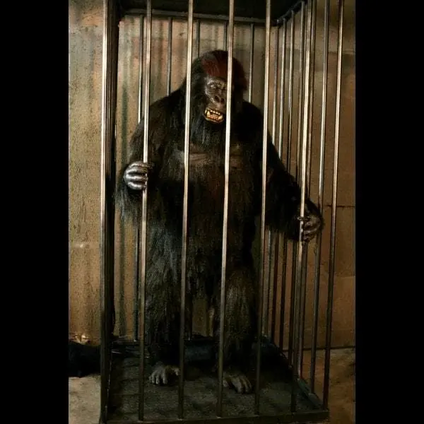 The Horror Dome "Gorilla In A Cage" Professional Halloween Animatronic 3 The Horror Dome "Gorilla In A Cage" Professional Halloween Animatronic