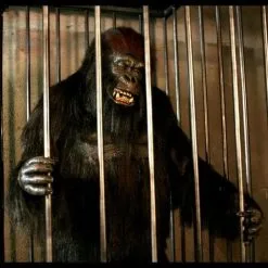 The Horror Dome "Gorilla In A Cage" Professional Halloween Animatronic 7 The Horror Dome "Gorilla In A Cage" Professional Halloween Animatronic -Cheap Horror Attire Store gorilla in a cage professional halloween animatronic 16861759681
