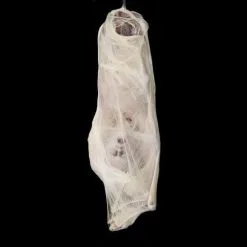 The Horror Dome "Graveyard" Halloween Props - Package Deal 11 The Horror Dome "Graveyard" Halloween Props - Package Deal -Cheap Horror Attire Store graveyard halloween props package deal 6927438381104