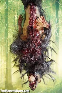 The Horror Dome Gutted Baby Werewolf Hanging Prop 9 The Horror Dome Gutted Baby Werewolf Hanging Prop -Cheap Horror Attire Store gutted baby werewolf hanging prop 15068683927600