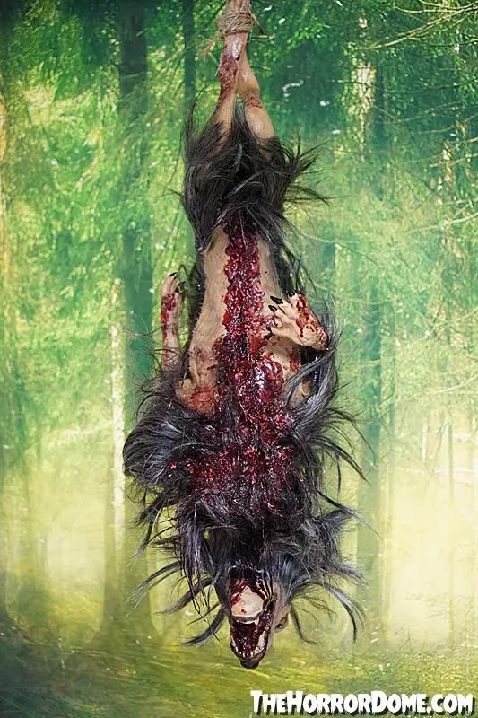 The Horror Dome Gutted Baby Werewolf Hanging Prop 6 The Horror Dome Gutted Baby Werewolf Hanging Prop - Image 4