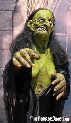 The Horror Dome "Helga The Witch" HD Studios Pro Costume -Cheap Horror Attire Store helga the witch hd studios pro halloween costume 12382253441