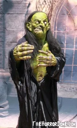 The Horror Dome "Helga The Witch" HD Studios Pro Costume -Cheap Horror Attire Store helga the witch hd studios pro halloween costume 12382259201