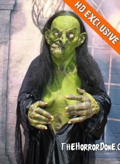 The Horror Dome "Helga The Witch" HD Studios Pro Costume -Cheap Horror Attire Store helga the witch hd studios pro halloween costume 12382515393