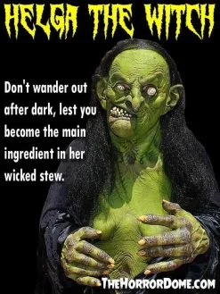 The Horror Dome "Helga The Witch" HD Studios Pro Costume -Cheap Horror Attire Store helga the witch hd studios pro halloween costume 14327608213552