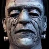 Morris "House Of Frankenstein" Mask -Cheap Horror Attire Store house of frankenstein mask 15547004452912