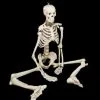 Skeletons And More "Human Skeleton" Movie Quality Halloween Prop -Cheap Horror Attire Store human skeleton movie quality halloween prop 28759832330288