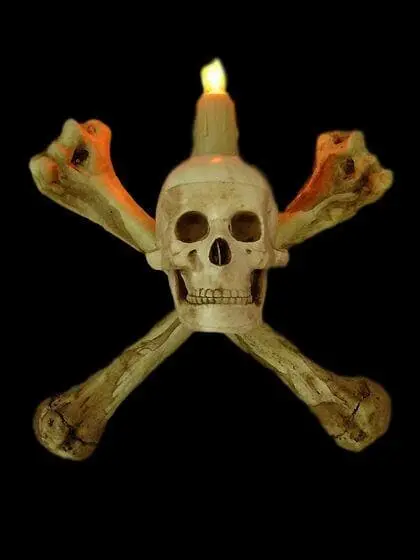 Skeletons And More "Humerus Bone Wall Sconce With 3 Inch Skull" Haunted House Lighting 3 Skeletons And More "Humerus Bone Wall Sconce With 3 Inch Skull" Haunted House Lighting