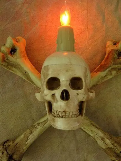 Skeletons And More "Humerus Bone Wall Sconce With 3 Inch Skull" Haunted House Lighting 5 Skeletons And More "Humerus Bone Wall Sconce With 3 Inch Skull" Haunted House Lighting - Image 3