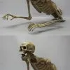 DC PROPS "Jaw Drop Peeper" Skeleton Halloween Animatronic