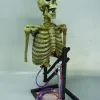 DC PROPS "Mini Popper" Skeleton Halloween Animatronic 2 DC PROPS "Mini Popper" Skeleton Halloween Animatronic -Cheap Horror Attire Store mini popper skeleton halloween animatronic 23253220545