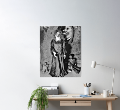 The Horror Dome Mirror Mirror Poster -Cheap Horror Attire Store mirror mirror poster 29931610570800