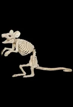 Morris "Mouse Skeleton" Animal Prop