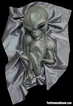 The Horror Dome "Roswell Alien Baby Crash Victim" HD Exclusive Halloween Decoration -Cheap Horror Attire Store new for 2022 roswell alien baby crash victim hd exclusive halloween decoration 30106370048048
