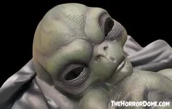 The Horror Dome "Roswell Alien Baby Crash Victim" HD Exclusive Halloween Decoration -Cheap Horror Attire Store new for 2022 roswell alien baby crash victim hd exclusive halloween decoration 30106412580912