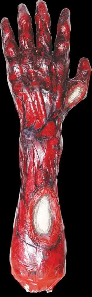 Morris "Peeled Flesh - Left Arm" Human Body Part Halloween Prop 3 Morris "Peeled Flesh - Left Arm" Human Body Part Halloween Prop