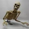 DC PROPS "Peeper" Skeleton Halloween Animatronic 1 DC PROPS "Peeper" Skeleton Halloween Animatronic -Cheap Horror Attire Store peeper skeleton halloween animatronic 23252925953