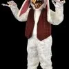 Morris "Peter Rottentail" Professional Costume