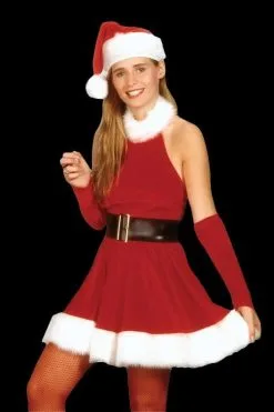 Morris "Santa's Inspiration Dress" Costume