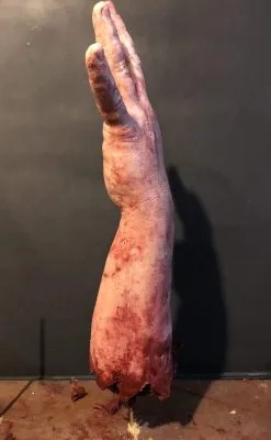 SpellBound FX And Art "Shark Bite Silicone Arm" Bloody Body Part Prop -Cheap Horror Attire Store shark bite silicone arm bloody body part prop 11943703412784