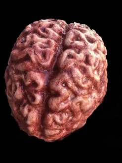 SpellBound FX And Art "Silicone Brain" Body Part Halloween Prop