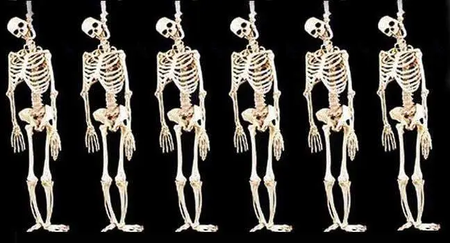 Morris Package Deals "Skeleton Halloween Props" - 6x Package Deal 3 Morris Package Deals "Skeleton Halloween Props" - 6x Package Deal