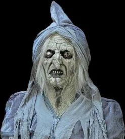 The Horror Dome "Swamp Hag" HD Studios Costume -Cheap Horror Attire Store swamp hag hd studios costume 30783282249776