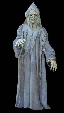 The Horror Dome "Swamp Hag" HD Studios Costume