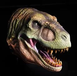 Distortions T Rex Head Wall Mount Prop