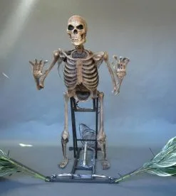 DC PROPS "The Bushwacker" Skeleton Halloween Animatronic -Cheap Horror Attire Store the bushwacker skeleton halloween animatronic 8721662785