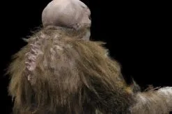 The Horror Dome "The Hobgoblin" HD Studios Pro Costume -Cheap Horror Attire Store the hobgoblin hd studios pro halloween costume 8721737217